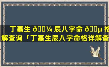 丁磊生 🌼 辰八字命 🌵 格详解查询「丁磊生辰八字命格详解查询大全」